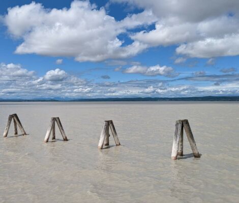 Neusiedler See