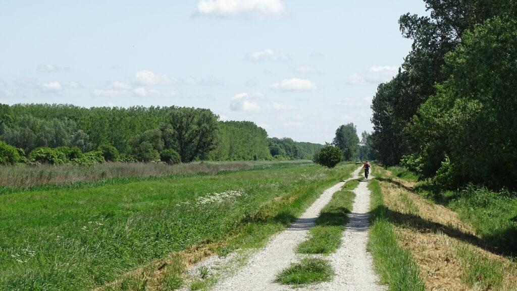 Weg am Einserkanal vom Neusiedler See durch die Landschaft des Hansag