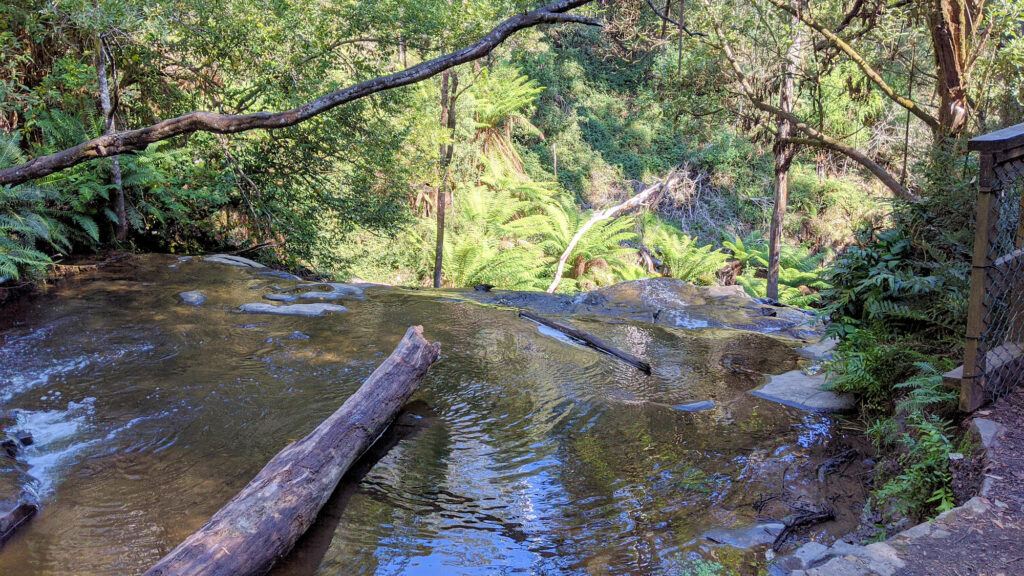 Lilydale Falls, Tasmanien