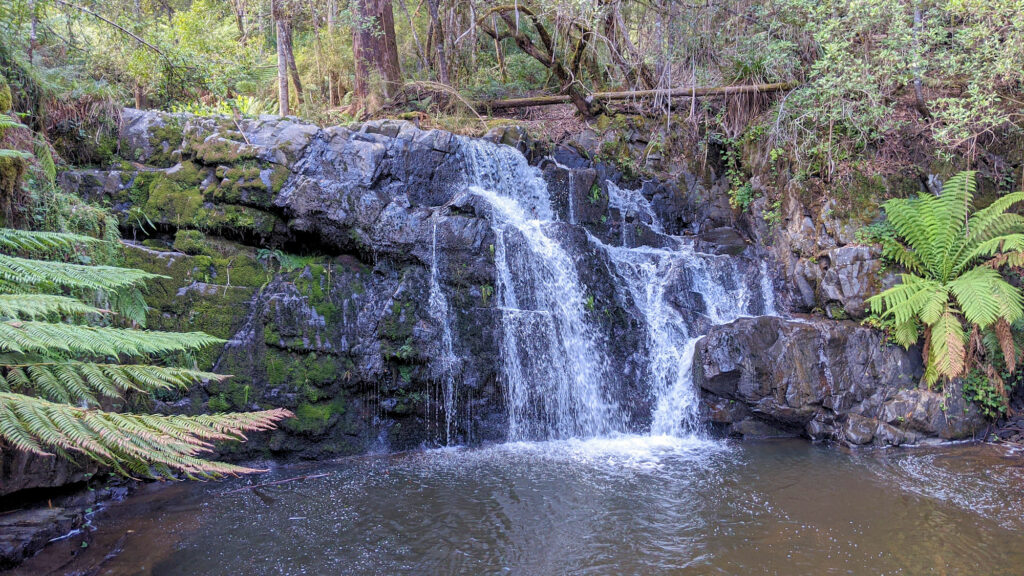 Lilydale Falls am Second River