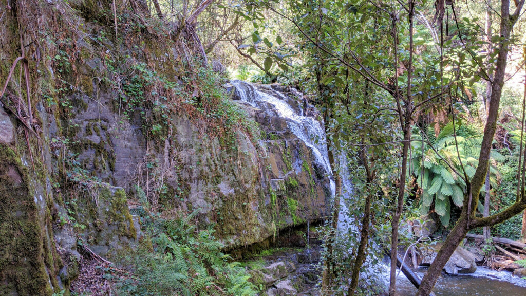 Lilydale Falls, Tasmanien