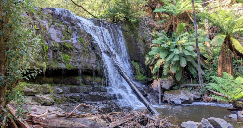 Lilydale Falls, Tasmanien