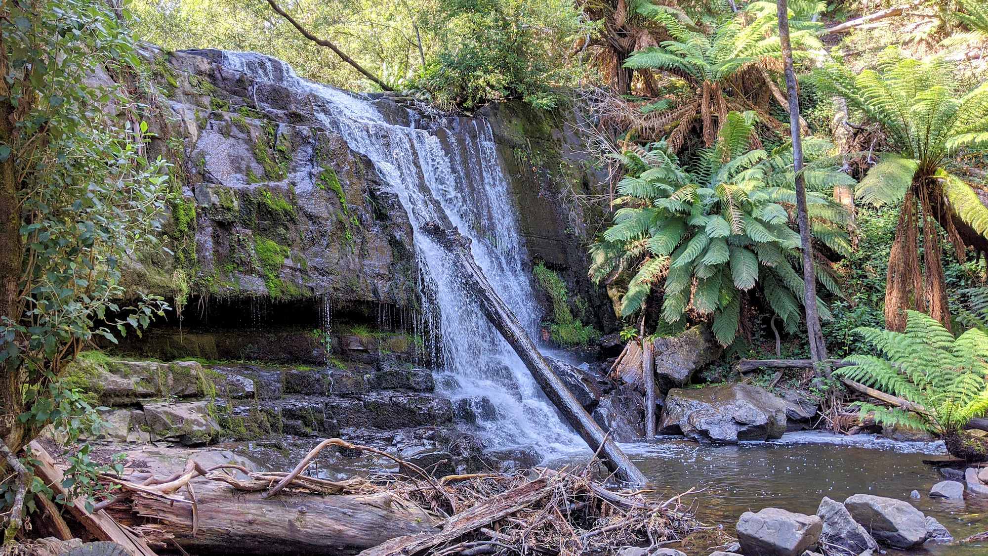 Waterfall Nordost Tasmanien