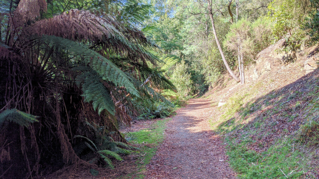 Lilydale Falls, Tasmanien